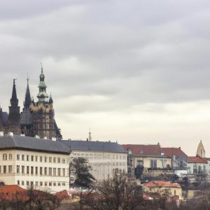 Nowa opona zimowa z głębokim bieżnikiem ustawiona pionowo w czystym garażu, w tle rozmyty samochód.