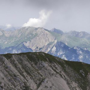 Zbliżenie na akumulator w komorze silnika, wyraźnie widoczne bieguny i etykiety pomagające rozpoznać jego rodzaj.